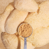 Focus and Memory Mushrooms
