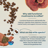 Organic Perform Functional Mushroom Whole Bean Medium Roast Coffee